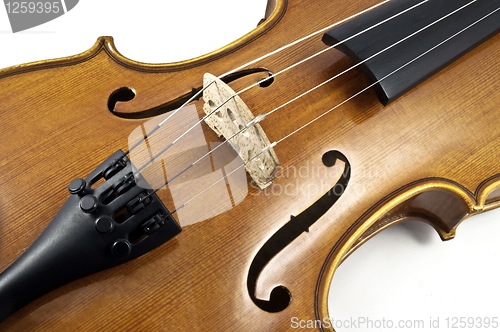 Image of Italian wooden Violin Chord details