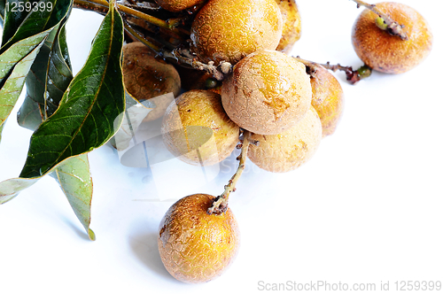 Image of Longan fruits