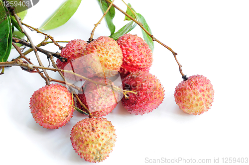 Image of Lichi fruits