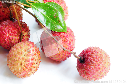Image of Lichi fruits