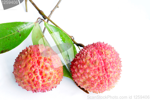 Image of Lichi fruits