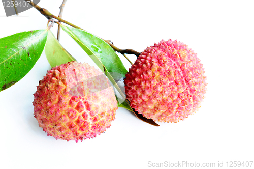 Image of Lichi fruits