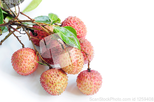 Image of Lichi fruits