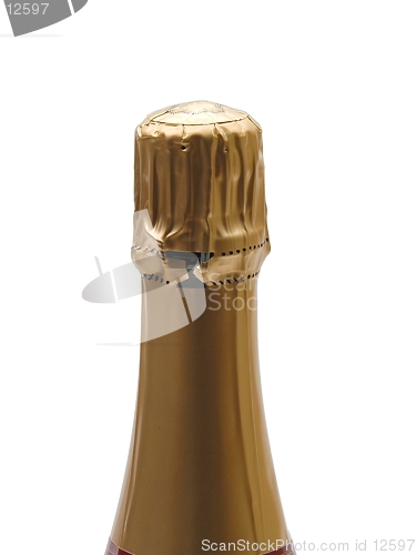 Image of Champagne Bottle (neck)