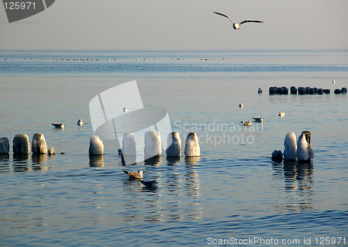 Image of Winter sea