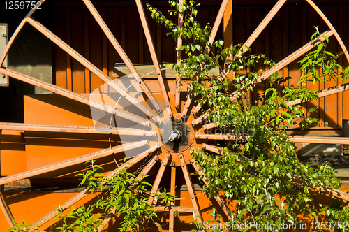 Image of Rusty tools