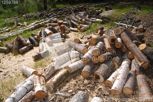 Image of off cuts of wood