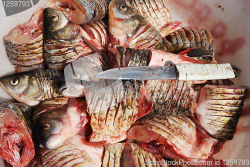 Image of pieces of fresh raw fish in and a knife