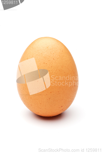 Image of  raw egg 