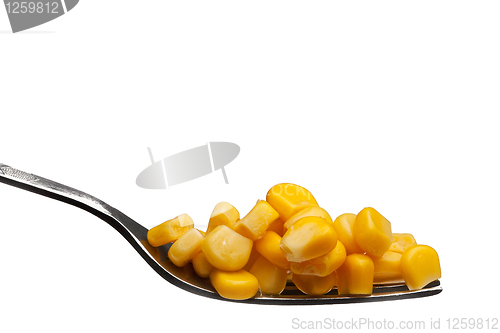 Image of  canned  corn