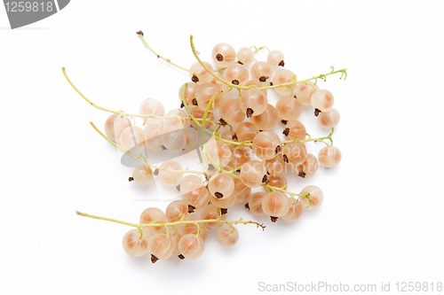 Image of Currant berries
