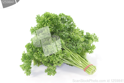 Image of Parsley