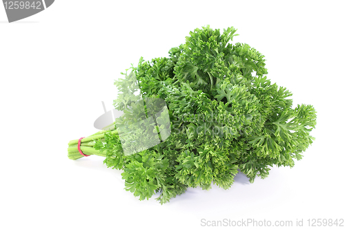 Image of Parsley