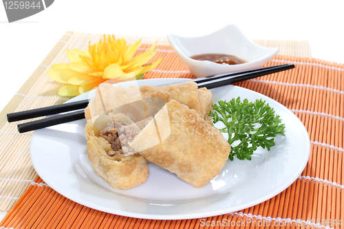 Image of spring roll