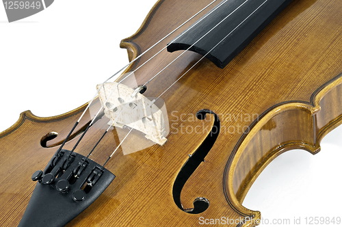 Image of Italian Violin Chord details