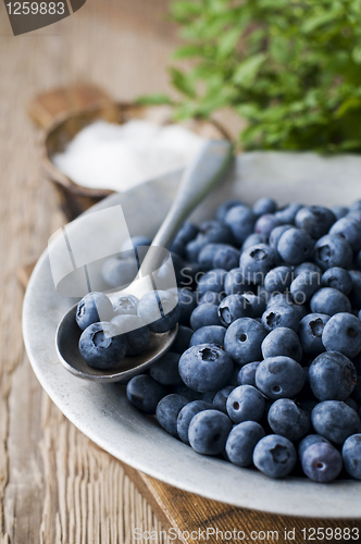 Image of Blueberries