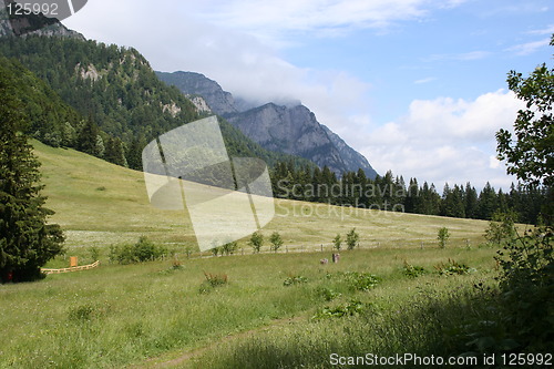 Image of The mountains near Sinaia, Romania