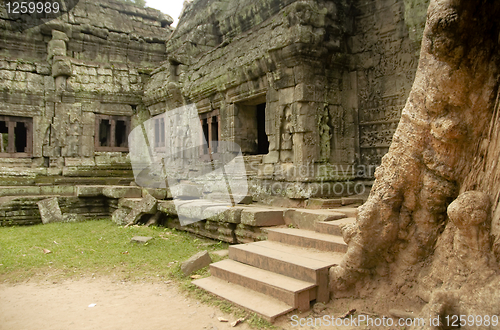 Image of Temple with tree