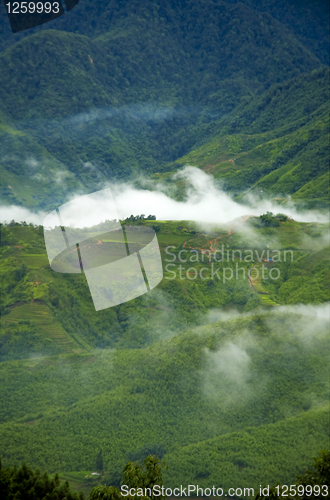 Image of Morning mist