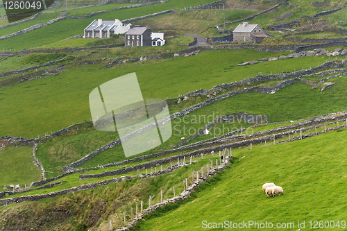 Image of Irish countryside