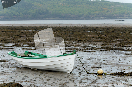 Image of White rowboat
