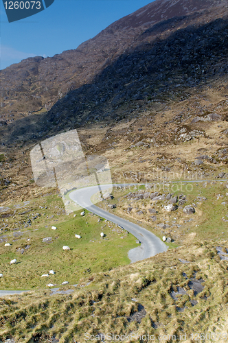 Image of Road to Gap of Dunloe