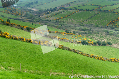 Image of Irish countryside