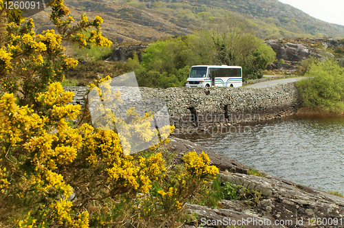 Image of Tourist bus