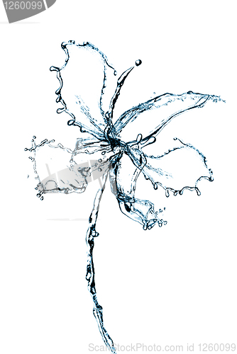 Image of Orchid flower made of water