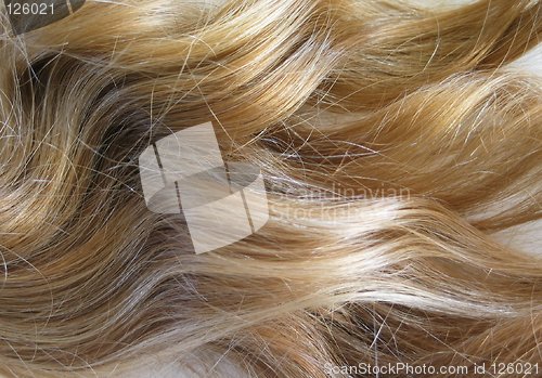 Image of Blonde Hair