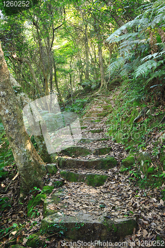 Image of green path 