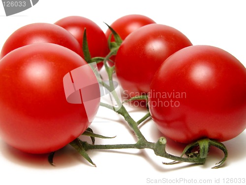 Image of Tomatoes