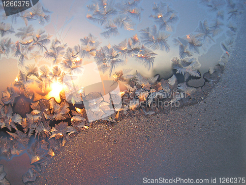 Image of frost and sun