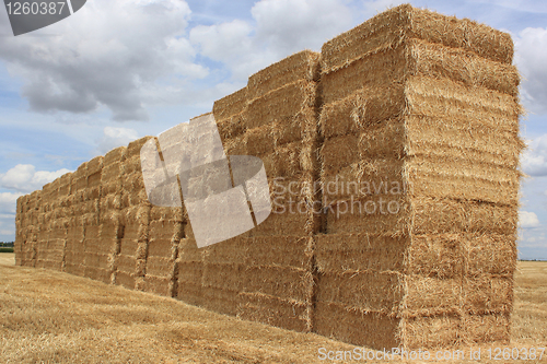 Image of straw bale