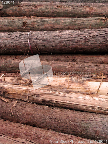 Image of Logs texture