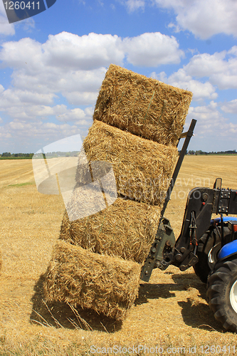 Image of haystack