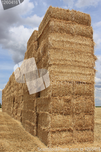 Image of straw bale