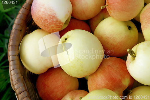 Image of tasty apples