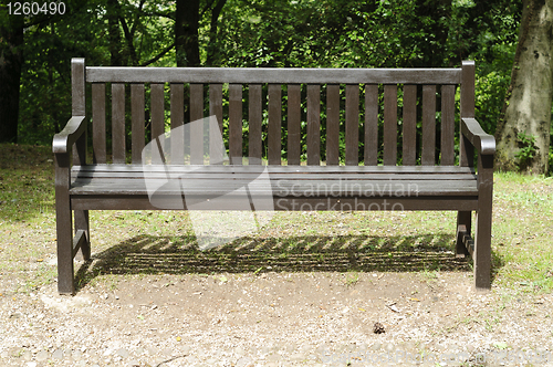 Image of Empty bench in the park