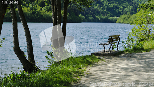 Image of Empty bench on the lake