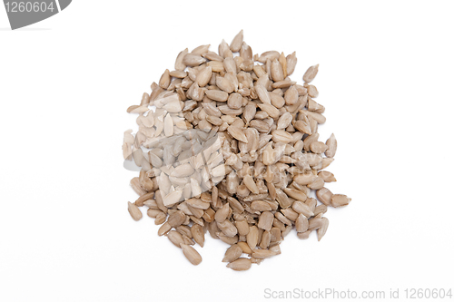 Image of Sunflower seeds