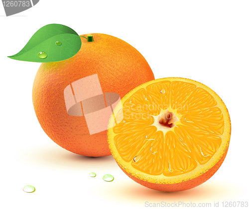 Image of Fresh juicy oranges 