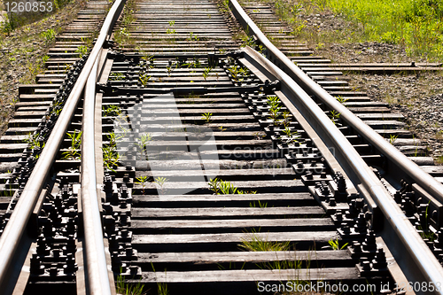 Image of grass between on the railway