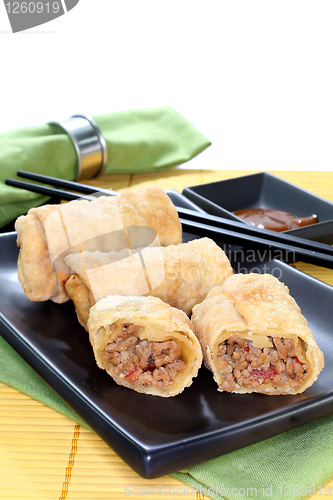 Image of spring roll