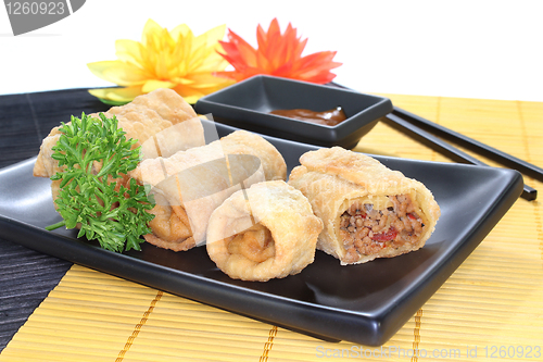 Image of spring roll