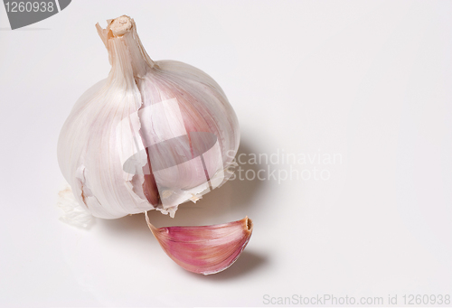 Image of Garlic