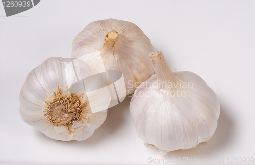 Image of Garlic