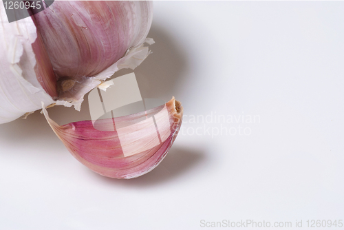 Image of Garlic
