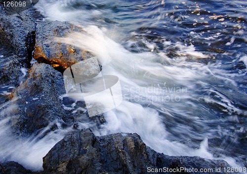 Image of SPLASH