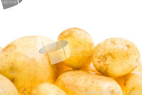 Image of Young potato